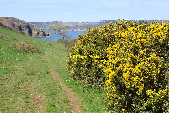 Photo 6"x4" The Coast Path above Men-aver Beach Flushing\/SW7825 c2010