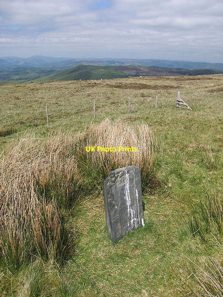 Photo 6"x4" Round barrow on Bryn-y-Fedwen Dylife c2010