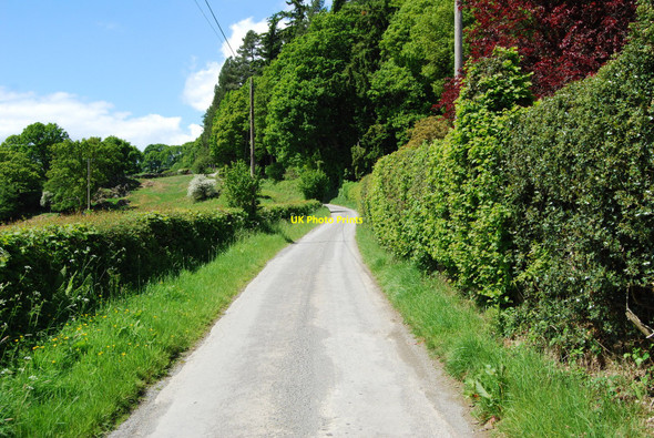 Photo 6"x4" The lane to Llandderfel Llandrillo c2010