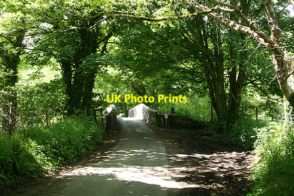 Photo 6"x4" Harford: Harford Bridge Harford\/SX6359 c2010