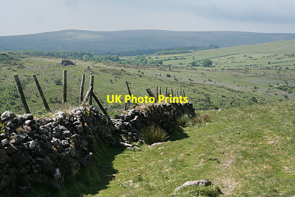 Photo 6"x4" Harford: on Harford Moor Harford\/SX6359 c2010