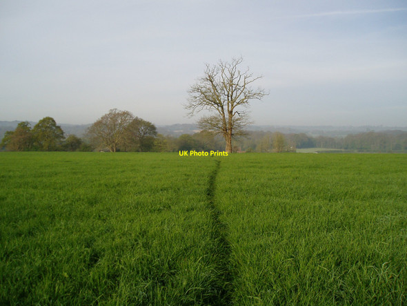 Photo 6"x4" Sussex Border Path Beckley\/TQ8523 c2010