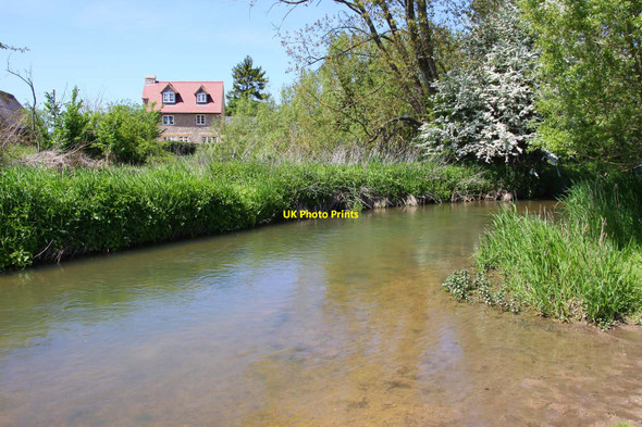 Photo 6"x4" The Seacourt Stream by Wytham Mill Wolvercote c2010