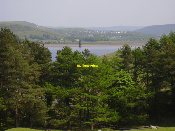 Photo 6"x4" Ogden Reservoir Flax Moss c2010