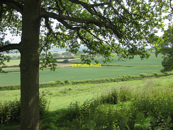 Photo 6"x4" Eastern flank of Marcle Hill Rushall\/SO6434 c2010