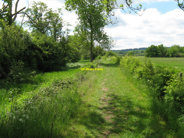 Photo 6"x4" The Wey-South Path alongside the Arun Canal Strood Green\/TQ0224 c2010