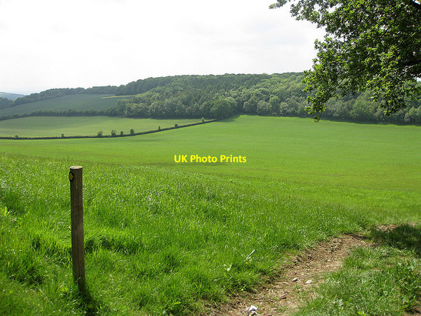 Photo 6"x4" Lush pastures west of Marcle Hill Woolhope\/SO6135 c2010