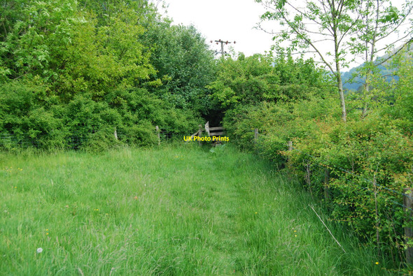 Photo 6"x4" Taith Clwyd vanishes into the trees Llandynan c2010