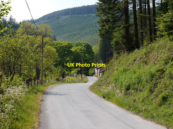 Photo 6"x4" The road past Rhydyronnen Tynyrwtra\/SN8885 c2010