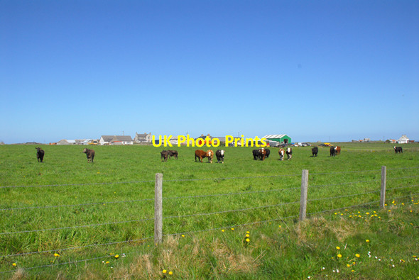Photo 6"x4" Looking toward Hermisgarth Farm, Sanday Burness\/HY6644 c2010