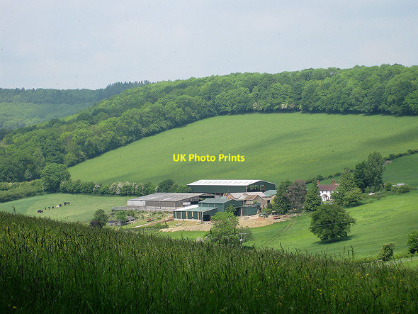 Photo 6"x4" Green Hill Farm Woolhope\/SO6135 c2010