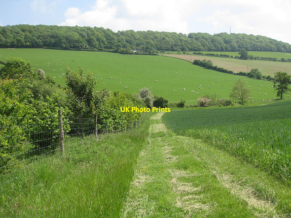 Photo 6"x4" A green valley Sollers Hope c2010