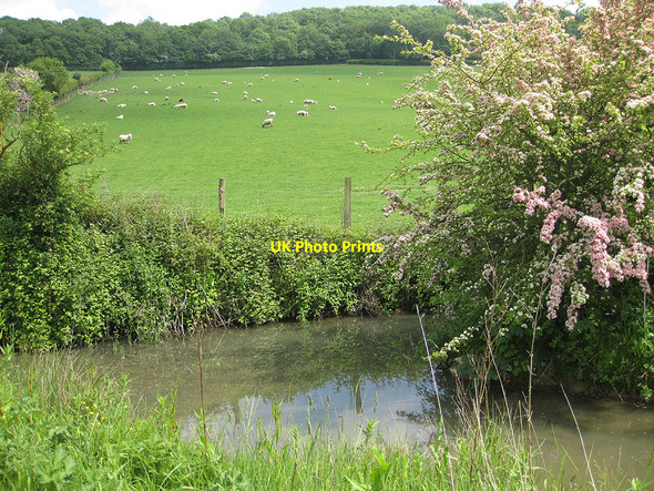 Photo 6"x4" Hillside pastures Sollers Hope c2010