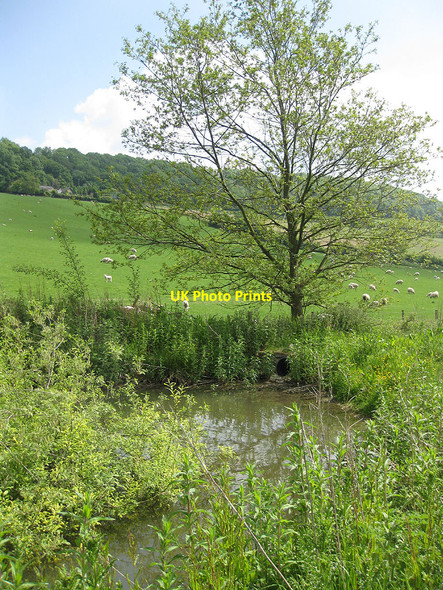 Photo 6"x4" Pool in the valley Sollers Hope c2010