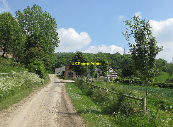 Photo 6"x4" Approach to Hyde Farm Sollers Hope c2010