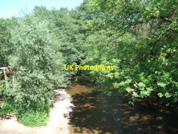 Photo 6"x4" River Otter, Weston, near Honiton Honiton\/ST1600 c2010