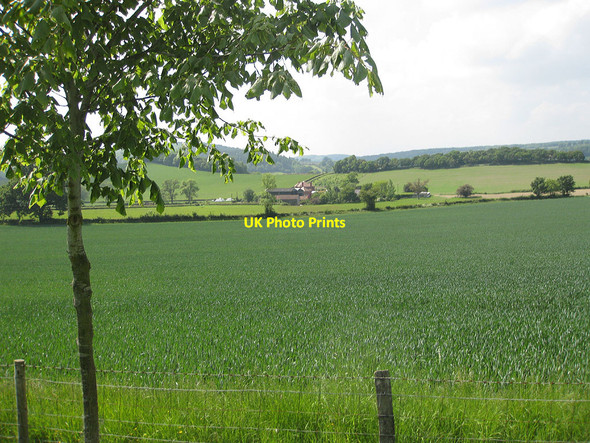 Photo 6"x4" Arable land near Yare Farm Sollers Hope c2010