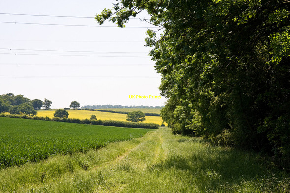 Photo 6"x4" Farm Track Beside a Stream Potters Bar c2010