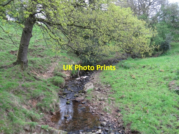 Photo 6"x4" Carling Gill at Low Row Low Row\/NY5863 c2010