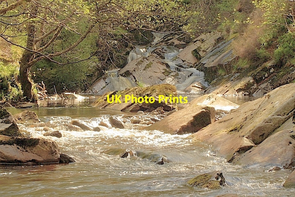 Photo 6"x4" Carie Burn Carie Burn c2010