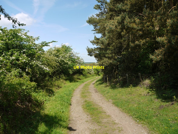 Photo 6"x4" Track west of Ford Moss Ford Hill\/NT9537 c2010