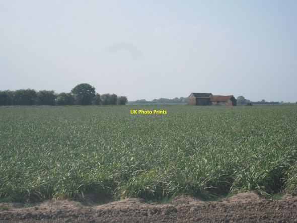 Photo 6"x4" Reed Point Farm Reed Point\/TF2051 c2010