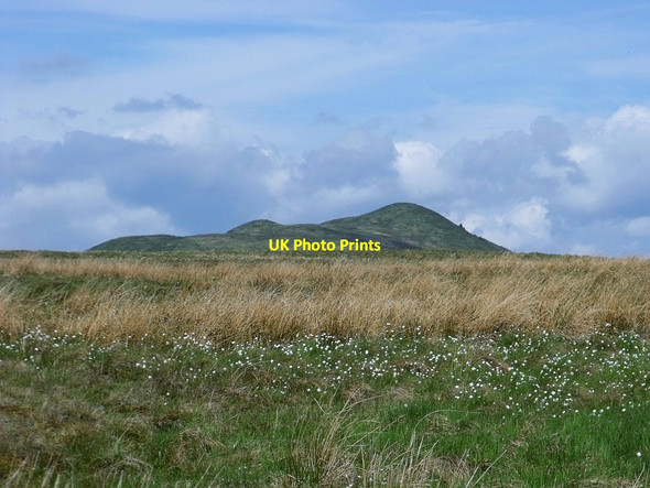 Photo 6"x4" Rough grasses on the plateau. Balmalloch\/NS7078 c2010