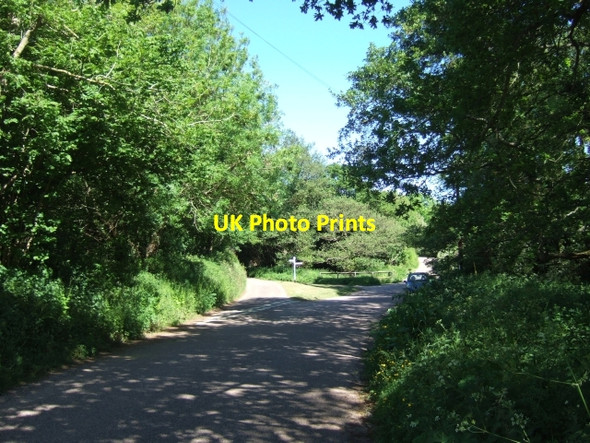 Photo 6"x4" Hawkerland Cross Goosemoor\/SY0689 c2010