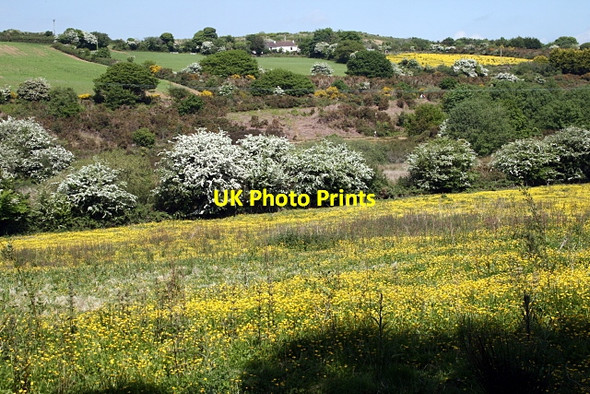 Photo 6"x4" The Carnon Valley west of Bissoe Coombe\/SW7641 c2010