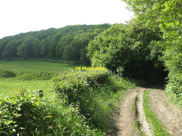Photo 6"x4" Track from Ridge Hill to Lyndalls Wood Crossway\/SO6131 c2010