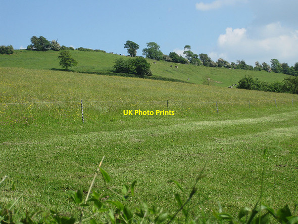 Photo 6"x4" Hillside pastures and grass crop Crossway\/SO6131 c2010