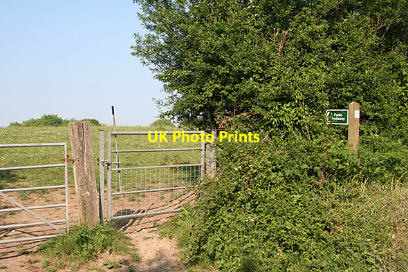 Photo 6"x4" Whitestone: bridleway to the village Longdown\/SX8691 c2010