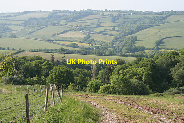 Photo 6"x4" Whitestone: near Beacon Down Corner Longdown\/SX8691 c2010