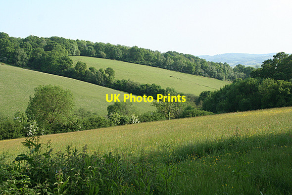 Photo 6"x4" Holcombe Burnell: south west of Rughouse Bilsdon c2010