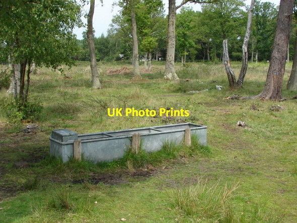 Photo 6"x4" Smarts Heath Prey Heath c2010