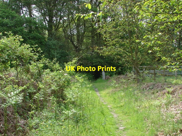 Photo 6"x4" Mayford, Woking Woking c2010