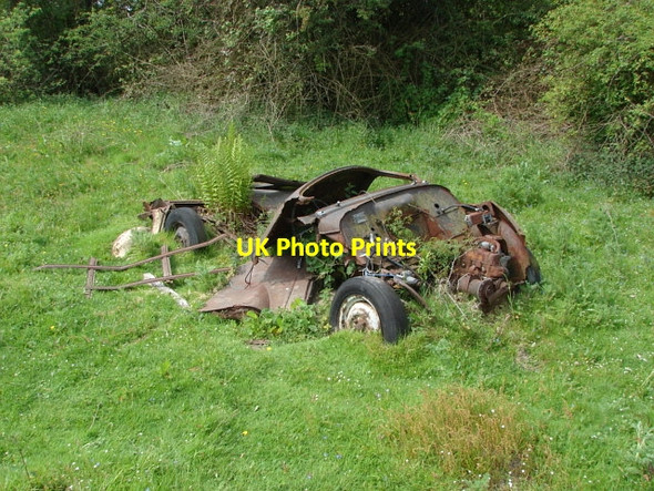 Photo 6"x4" Saunders Lane Meadows, Mayford Woking c2010 P3