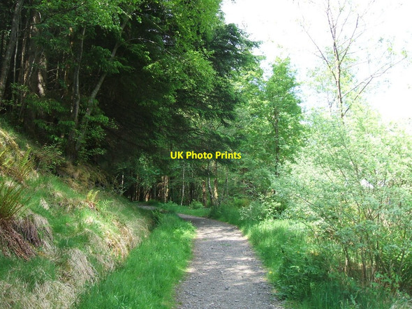 Photo 6"x4" Path to Ben Ledi Kilmahog c2010