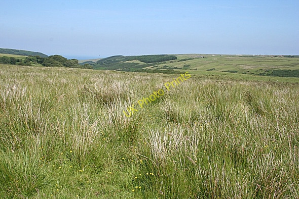 Photo 6"x4" Kinbeam Hill Bracklamore Hill c2009 P1