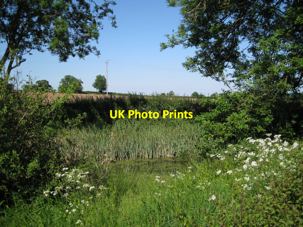 Photo 6"x4" Pond north of Frizmore Hill Radford Semele c2010