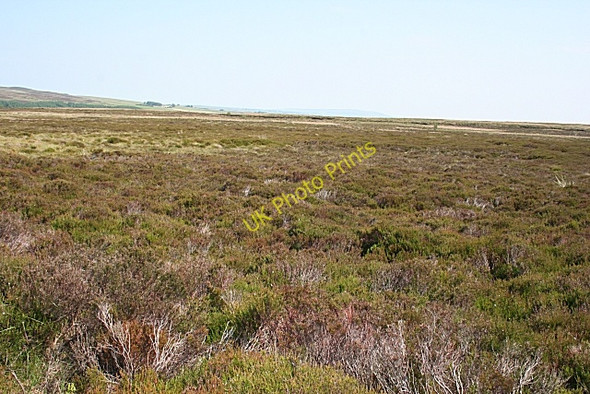 Photo 6"x4" Bracklamore Hill Netherbrae c2009