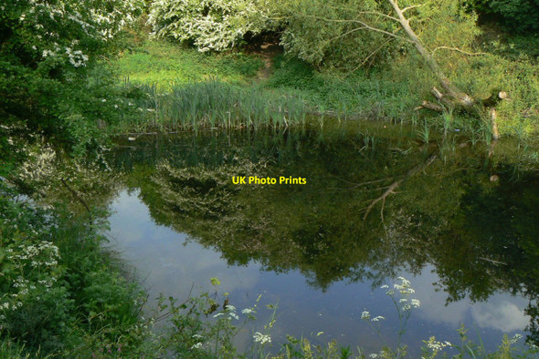 Photo 6"x4" Red River Nature Area Heanor c2010