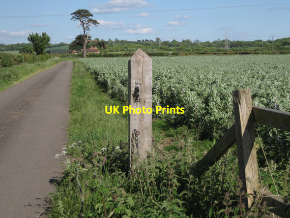 Photo 6"x4" Westfields Farm  Ufton c2010