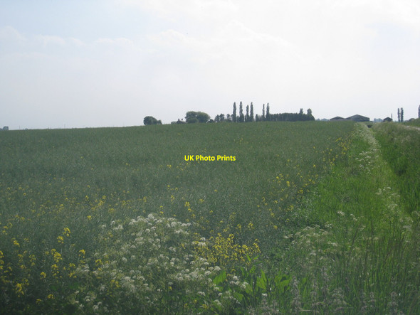 Photo 6"x4" Farm across the fields, Maryland Reed Point\/TF2051 c2010