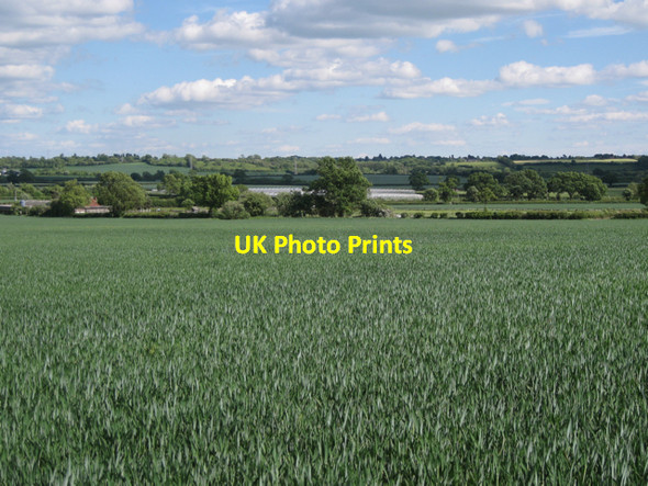 Photo 6"x4" Farmland near Highthorn  Ufton c2010