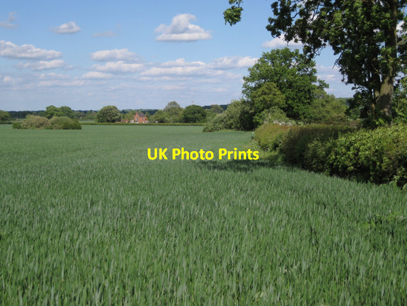 Photo 6"x4" Sharmer House across a wheatfield  Ufton c2010