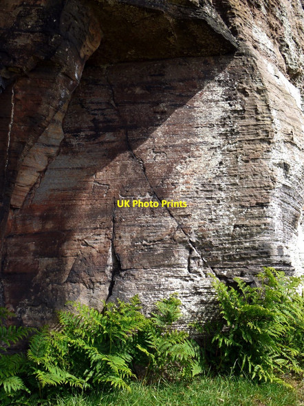 Photo 6"x4" Animal carvings, Goats Crag rock shelter Ford Hill\/NT9537 c2010
