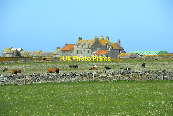 Photo 6"x4" Scar Farm, Sanday Burness\/HY6644 c2010