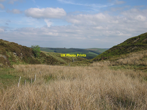 Photo 6"x4" Nant Ddeiliog Dylife c2010