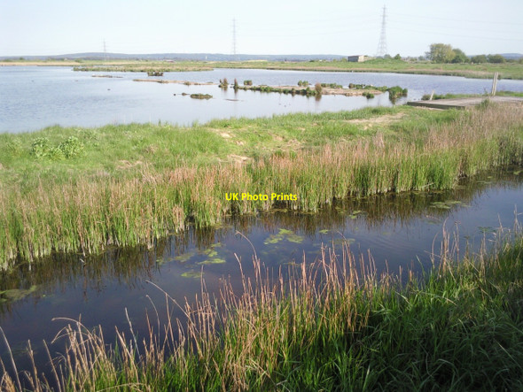 Photo 6"x4" Oare Marshes in evening sunlight Oare\/TR0062 c2010